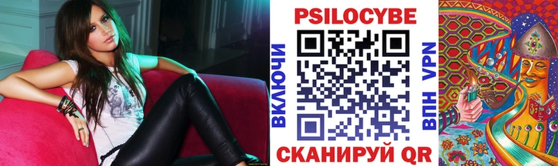 Купить где  Ессентукская  Псилоцибиновые грибы прущие грибы 