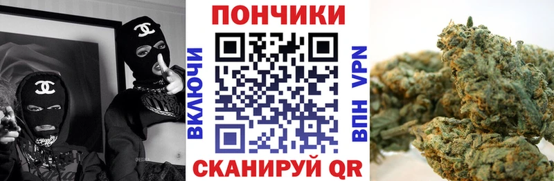 Купить закладки  Ессентукская  Каннабис гибрид 